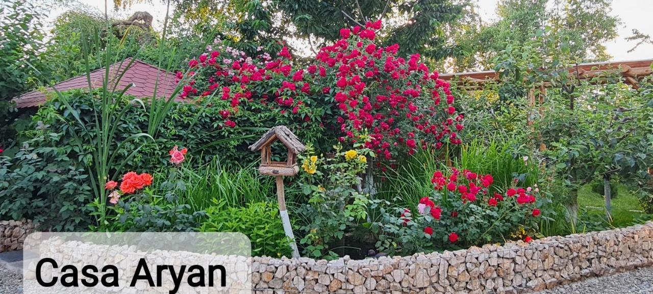 Casa Aryan Apartman Barcaszentpéter Kültér fotó